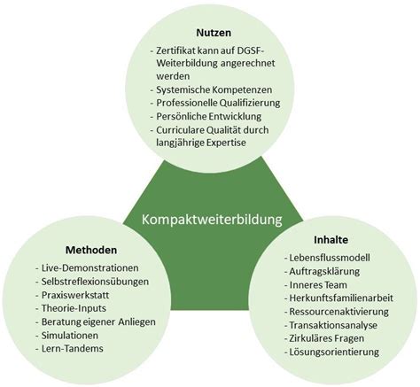 Systemische Beratung Familientherapie Systemische Ausbildung Stip