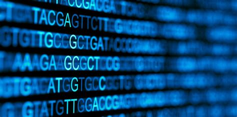 What is Mitochondrial DNA (mtDNA) and How is It Used? - DNA Testing ...