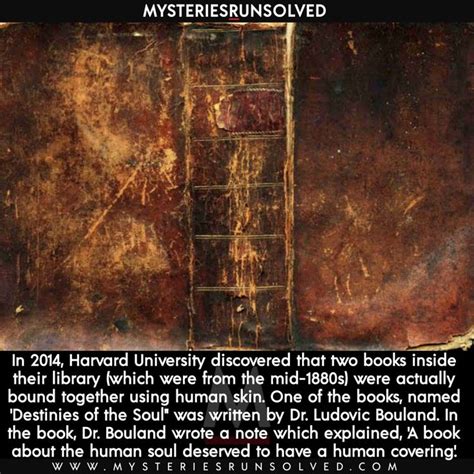 Harvard University Library Books Bound In Human Skin