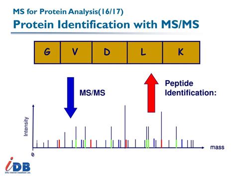 Ppt Ch Proteomics And Protein Identification Powerpoint