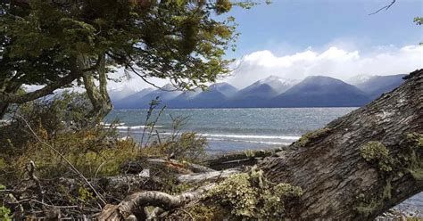 Un Enero Positivo Aument La Llegada De Turistas Y De Cruceros A Ushuaia