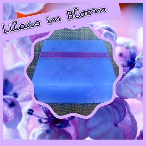 Lilacs In Bloom Bath Bar Smells Just Like Heaven Its Sweet Without