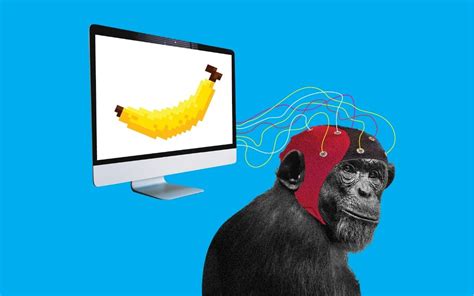 Elon Musk claims that his wired-up Neuralink monkey is happy and enjoys ...