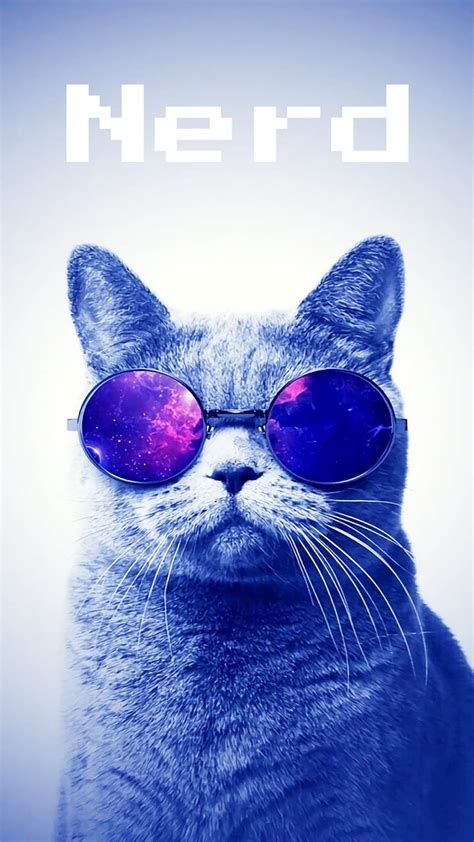 Nerd Space Cat Glasses Hd Phone Wallpaper Peakpx