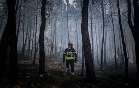 Portugal Plus De 1 500 Pompiers Toujours Mobilisés Contre Un Incendie