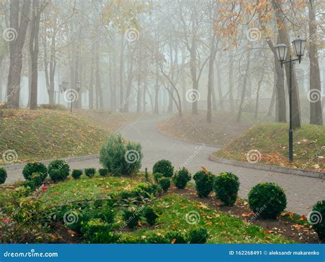 Cozy Alley In A City Foggy Park In The Fall Gomel Belarus Stock Image