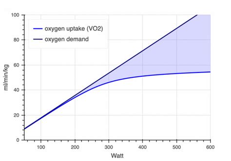 How To Calculate Measure And Test Your Vo2 Max