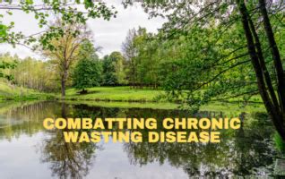 Combatting Chronic Wasting Disease - WKGC-FM Public Radio