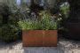 Corten Steel Tall Trough Planter 1200mm X 300mm X 600mm