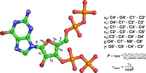 Frontiers Structural Analysis Of P Ppgpp Reveals Its Versatile