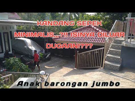 Kandang Minimalis Isinya Diluar Dugaan Lihat Bikin Kepencut