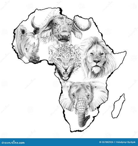 Big African Five Animal Hand Drawn Illustration In Continent Stock