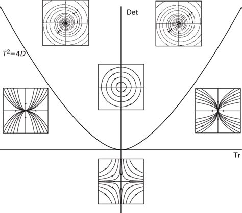 Pdf Differential Equations Dynamical Systems And An Introduction To Chaos Semantic Scholar