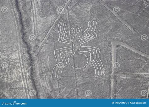 Aerial View of the Spider Nazca Lines Stock Photo - Image of history ...