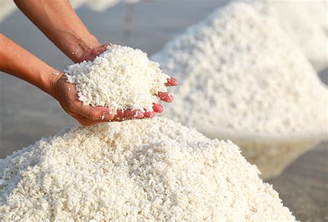 How Is Salt Made The Source Of Our Favourite Seasoning Foodunfolded