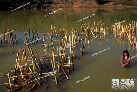 river, people, bathing, female, burmese, woman, Stock Photo, Picture ...