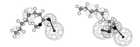 Methyl Octanoate Mapped On Or1g1 Hypothesis Model Left And Or52d1