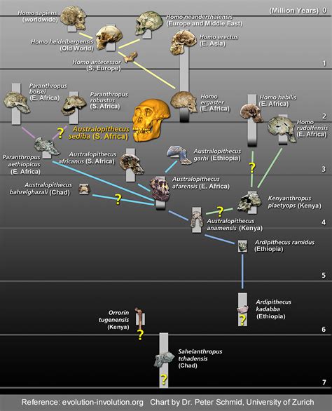 Evolution-Involution Slideshow