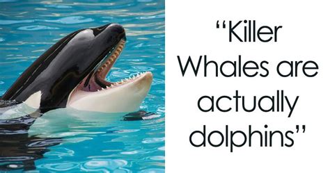 28 People Share The Weirdest Animal Facts They Know | Bored Panda