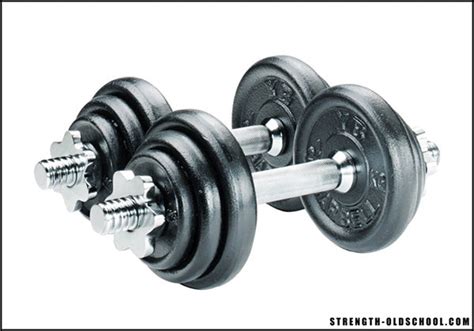 Fixed Dumbbells vs Loadable Dumbbells – Strength Oldschool