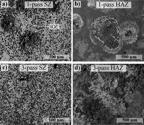 Scanning electron micrographs showing the morphologies of single-and ... 