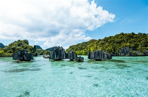 Raja Ampat: Indonesia's Diving Paradise | GVI | GVI