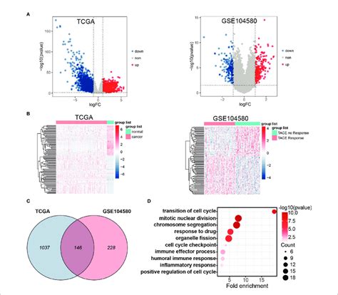 Differential Expression Gene Analysis A Volcano Plots Showed