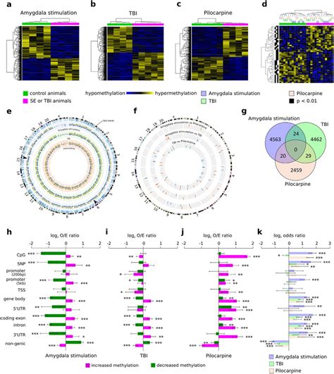 Differentially Methylated Regions And Their Distribution In Three