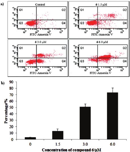 Compound Induces Smmc Cell Apoptosis In Vitro Smmc Cells