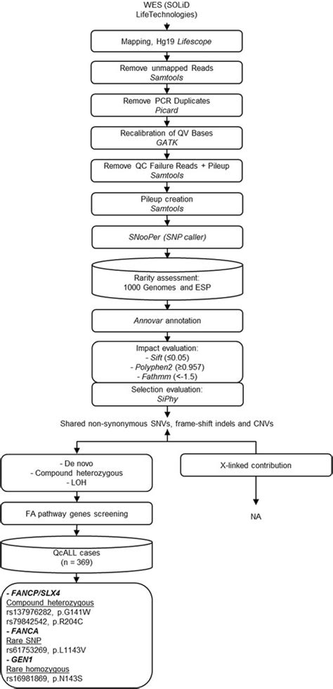 Whole Exome Sequencing Analysis Workflow Boxes Represent The