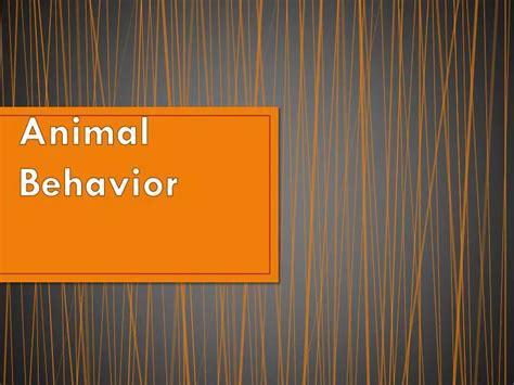 Ppt Animal Behavior Powerpoint Presentation Free Download Id2278248