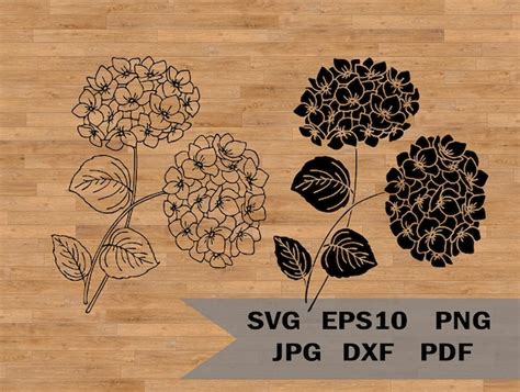 Hydrangea Template Svg Garden Flower Svg Cut File Floral Etsy Australia