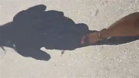 Schenke Auch Du Mir Deine Sahne Free HD Porn Ab XHamster