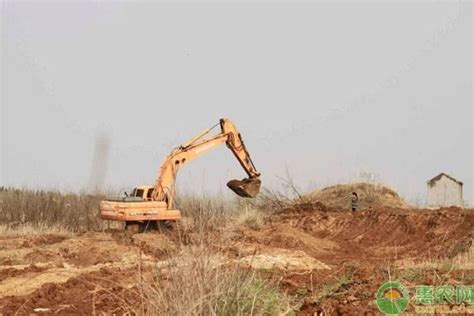 農村房屋拆遷過程中，村委無權做這四件事，做了村民可以起訴 每日頭條