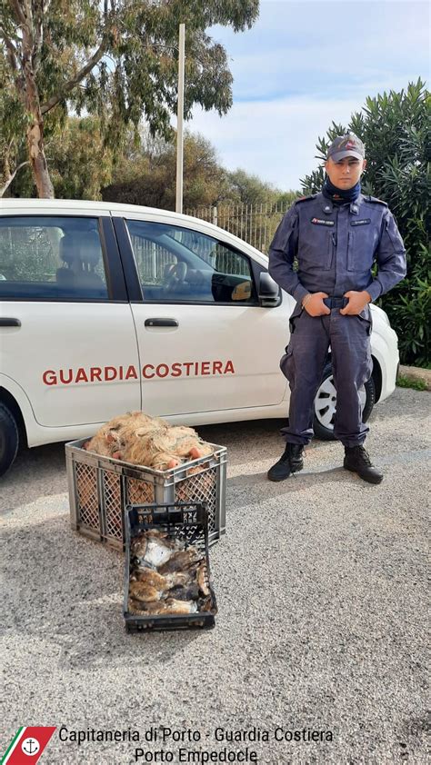 Pesca Abusiva Di Novellame Le Immagini Della Capitaneria Di Porto