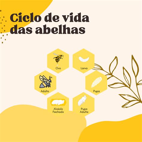 Como As Abelhas Se Reproduzem - As abelhas são insetos que passam por metamorfose, sendo possível ...