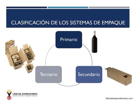 Tipos De Empaque Líder Del Emprendimiento