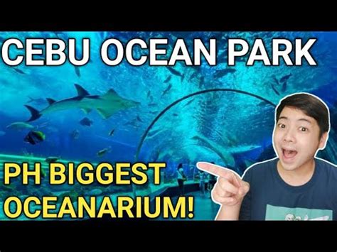 Cebu Ocean Park The Biggest Oceanarium In The Philippines Part