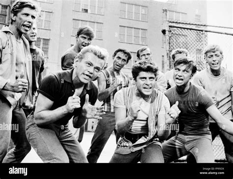 1961 Nthe Jets Gang Hi Res Stock Photography And Images Alamy