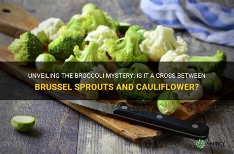 Unveiling The Broccoli Mystery Is It A Cross Between Brussel Sprouts And Cauliflower Shuncy