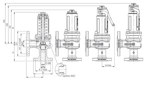 Flanged Hydrogen Pressure Relief Valve Series 455 Hyfindr