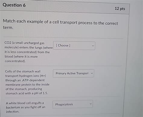 Solved Question Ptsmatch Each Example Of A Cell Chegg