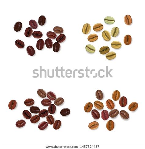 Coffee Beans Realistic Set Showing Various Stock Vector Royalty Free