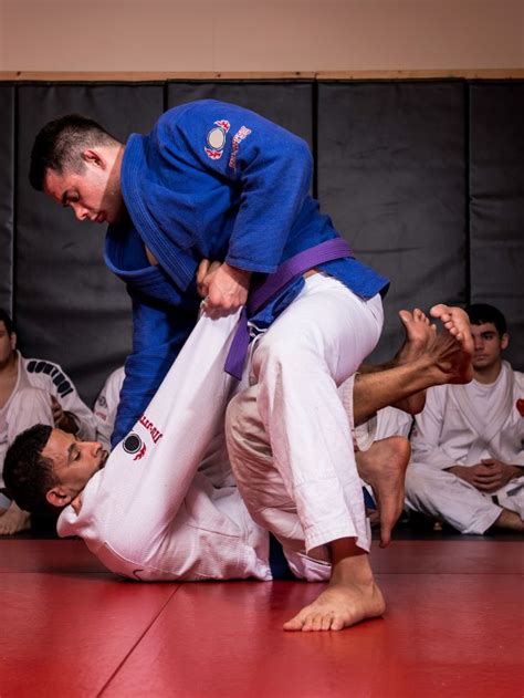 Belt Levels In BJJ A Guide To Brazilian Jiu Jitsu Belts And Ranking