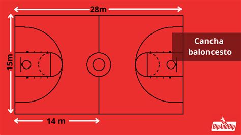 Dibujo De Cancha De Baloncesto Con Sus Medidas Medidas Cancha De Porn ...