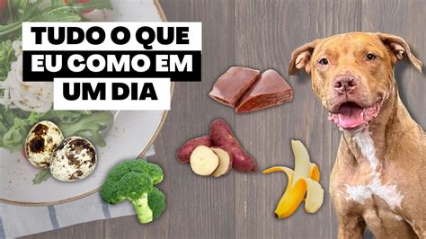 Top Os Melhores V Deos De Alimenta O Pet Tudo O Que Eu Como Em Um