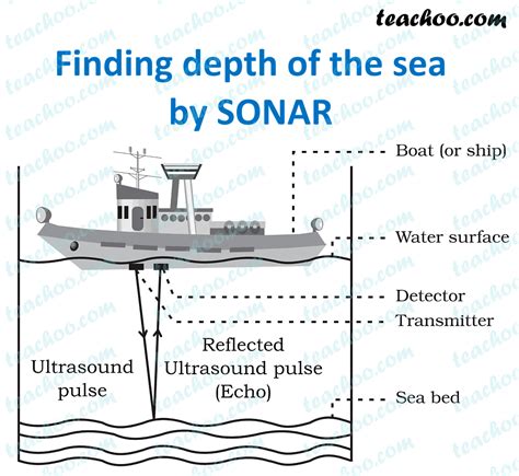 NCERT Q19 Explain The Working And Application Of A Sonar