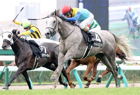 【注目馬動向】3連勝中のナイトインロンドンは菊花賞が目標 Umatoku 馬トク