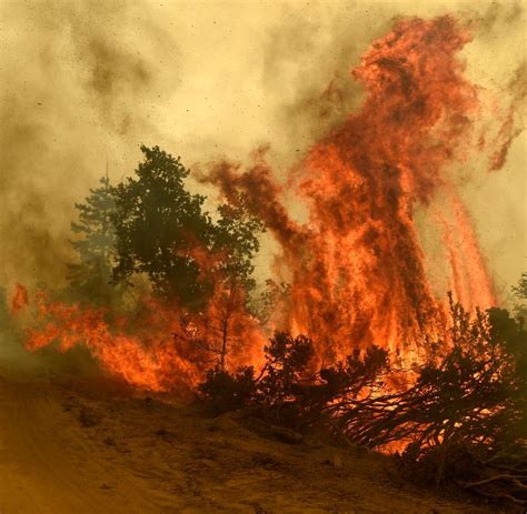 Waldbrand Im Harz Einsatzkr Fte K Mpfen Gegen Gro Feuer Am Brocken