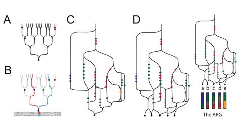 How Can Science Get Genetic Ancestry Right